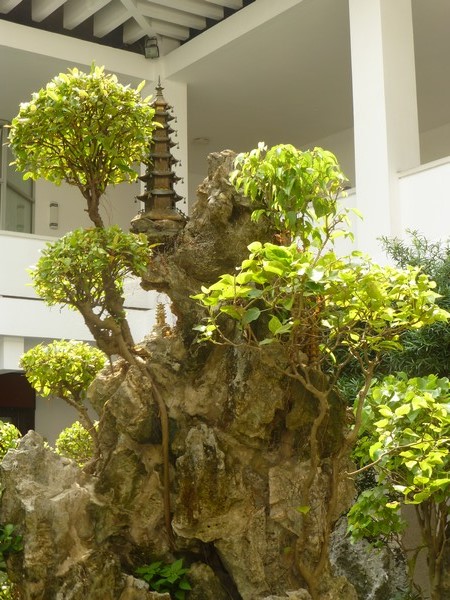 mini-jardin-palais-independance-vietnam